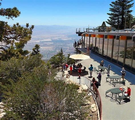 10 Tips for Visiting the Palm Springs Aerial Tramway - Cactus Hugs