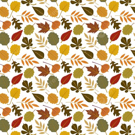 Collection Beautiful Colourful Autumn Leaves Pattern Isolated On White