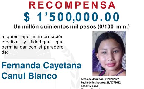 Fge Ofrece Una Recompensa De 1 Mdp Por Caso De Fernanda Cayetana Telediario México