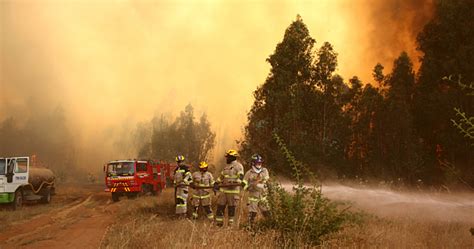 Incendio En Quillón No Da Tregua Van 1 600 Hectáreas Consumidas Y 20