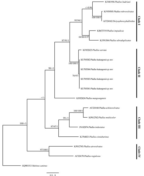 Maximum Parsimony Phylogram Based On Its Rdna Sequence Data Showing The