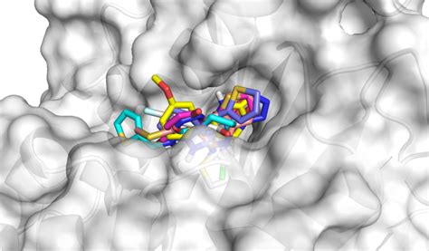 Ligand Based And Structure Based Virtual Screening Cresset