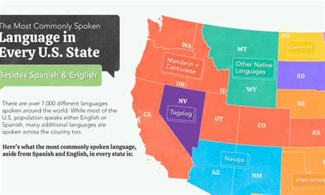 All World Languages In One Visualization By Native Speakers