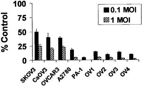 In Vitro Cytolytic Effect Of HSV 1716 On Established EOC Cell Lines