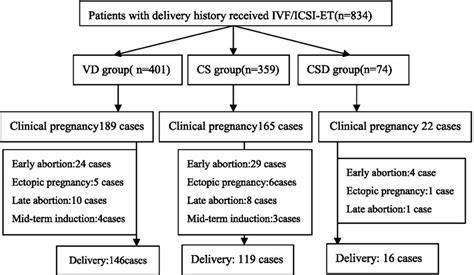 Flowchart Of Reproductive Outcomes After Ivf Icsi Et Download