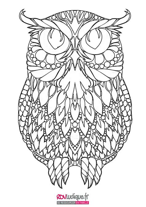 Coloriage Mandala Dessin Animaux Hibou 1