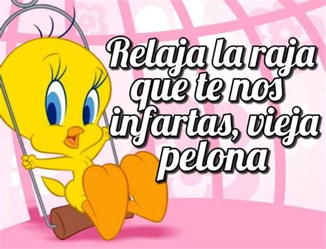 Meme Piol N Piropos Para Conquistar Frases De Odio Piolin Imagenes