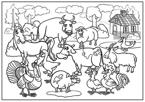 Animais Da Fazenda Para Colorir Desenhos Para Colorir 56 OFF