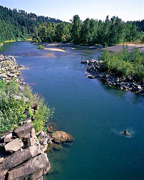 Sandy River Swimmers picture|Oregon River Photo for sale