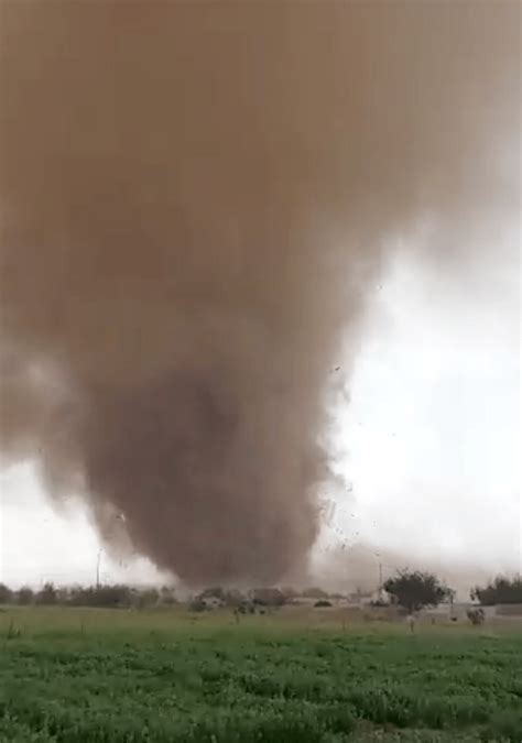 Watch: Massive tornado rips through city in Saudi Arabia; shocking
