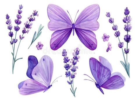 Watercolor Butterflies and Lavender Flowers, Floral Design Purple ...