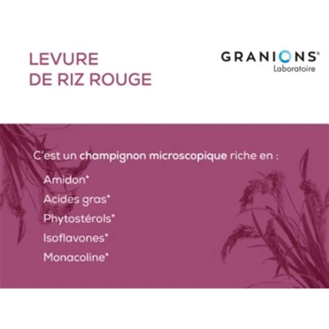 Granions Levure De Riz Rouge 150mg 30 Gelules Vegetales EAFIT GRANIONS