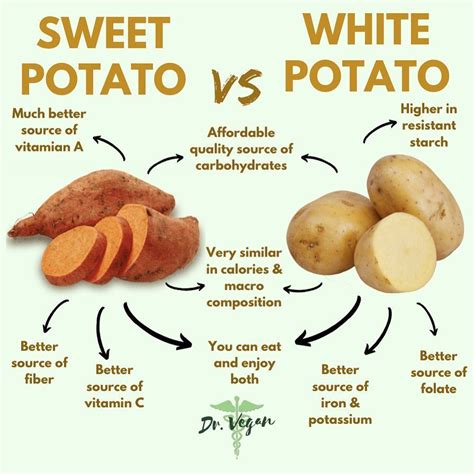 Sweet Potato Vs Potato Venn Diagram White Potatoes Russet P