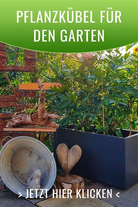 Entdecken Sie Eine Gro En Auswahl An Pflanzk Beln F R Den Garten In