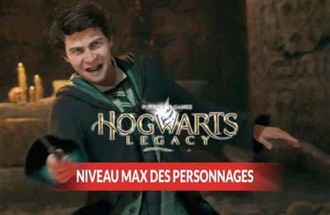 Quel Est Le Niveau Maximum Des Personnages Dans Hogwarts Legacy L