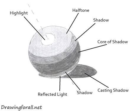 E Value Cast Shadows Lessons Blendspace Shadow Drawing How To