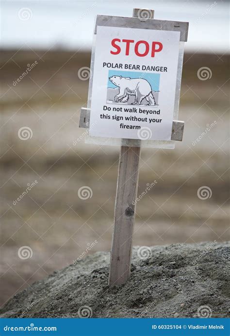 Warning Sign Polar Bears Alert Stock Photo - Image of arctic, animal: 60325104