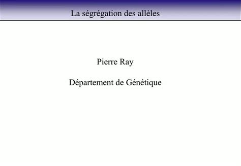 PPT La ségrégation des allèles PowerPoint Presentation free download