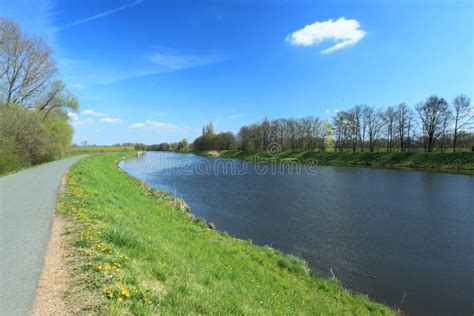 River Elbe stock photo. Image of europe, embankment, tree - 53442072