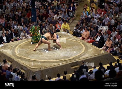 Sumo Wrestlers Fighting In The Wrestling Ring At September Grand