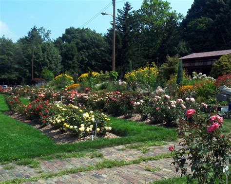 Renziehausen Park Rose Garden