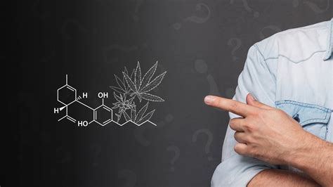 Cannabinoide Einfach Erklärt 420brokkoli De