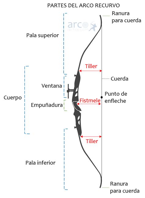 Cuáles son las partes principales del arco