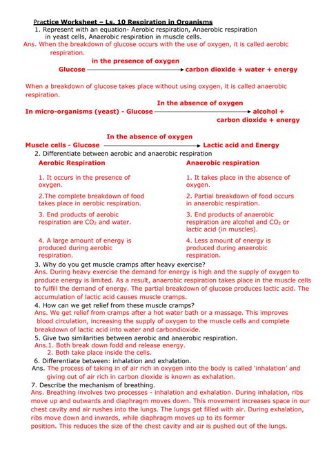 SOLUTION Ls Respiration In Organisms Practice Worksheet Answer Key