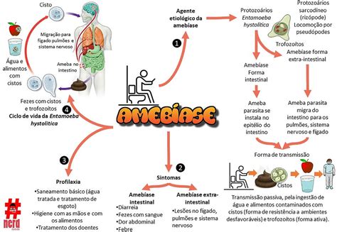 Ameb Ase Nerdcursos