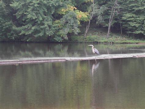 Lake Wilhelm Scenic Byway Visitpa