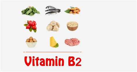 Top 10 Vitamin B2 Rich Foods You Should Include In Your Diet | Family ...