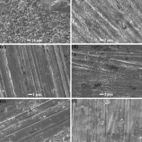 SEM Images Of Mild Steel Surfaces After 24 H Exposure To A 0 1 M HCl