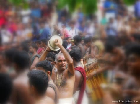 Thrissur Pooram Festival Pictures - Kerala Photos - Kerala