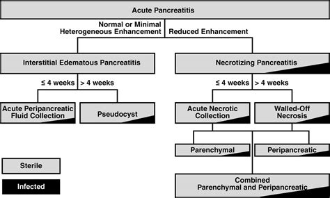 Acute Pancreatitis: Revised Atlanta Classification And The, 49% OFF