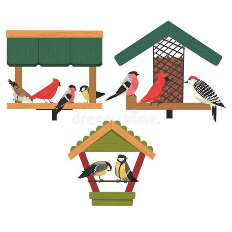 Winter Bird Feeder, Northern Birds Feeding by Seeds, Cute Red Cardinal ...