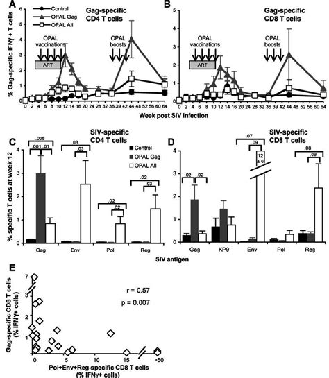 T Cell Immunogenicity Of OPAL Vaccination SIV Gag Specific CD4 A And