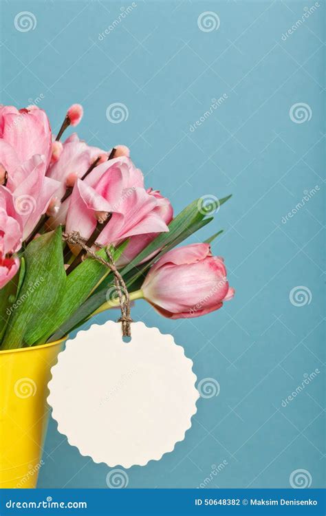 Bouquet Of Pink Fresh Tulips With Pussy Willow In Yellow Bucket Stock Photo Image Of Armful