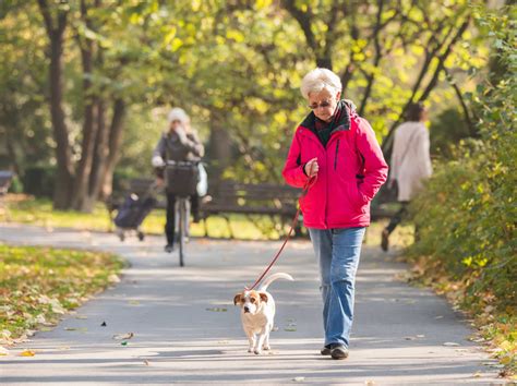 The Surprising Health Benefits Of Owning A Pet