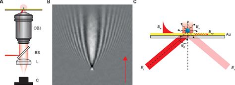 Surface Plasmon Resonance Microscopy A Schematic Of A Typical Sprm