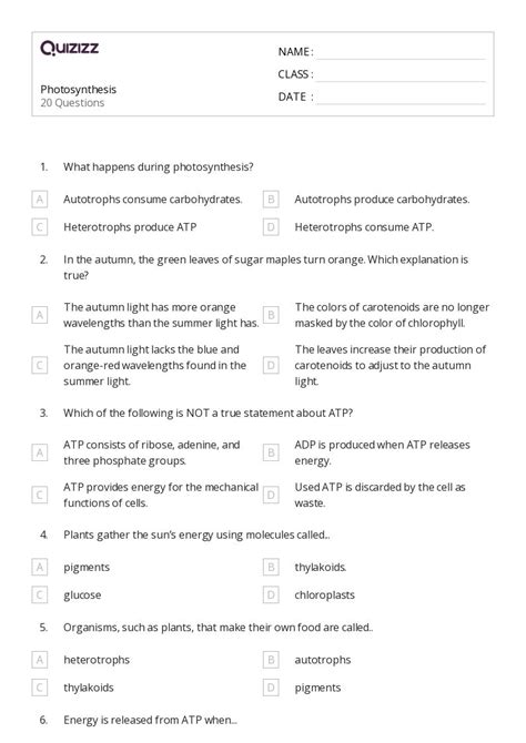 Photosynthesis Worksheets For Th Grade On Quizizz Free Printable