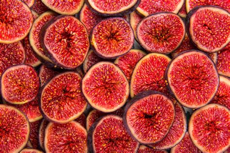 Planting Fig Tree Seeds: Where To Get the Best Seeds To Grow - Minneopa Orchards