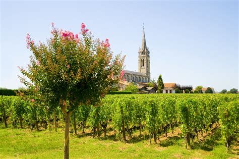 7 Favorite French Wine-Growing Regions