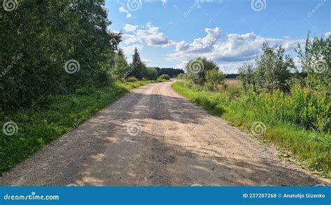 Beautiful Narrow Dirt Road Between Trees With Green Foliage On A Sunny