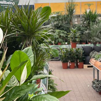 Assortiment Tuincentrum GroenRijk In Rijswijk