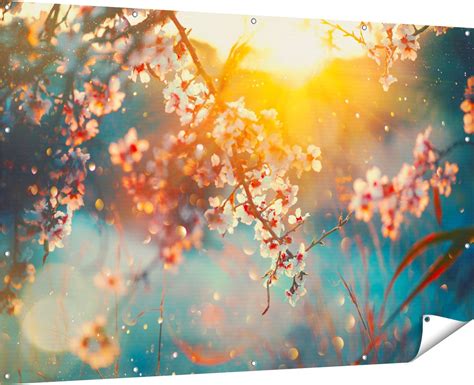 Gards Affiche De Jardin Arbre En Fleurs Au Coucher Du Soleil Bloem