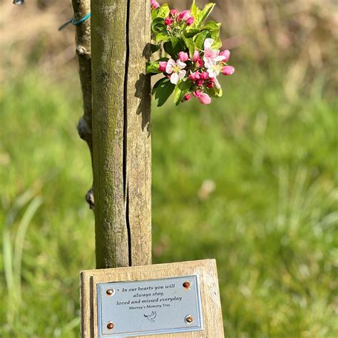 Murray's Funeral Directors | Burton upon Trent