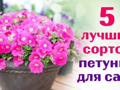 Кухонные лайфхаки и всё о еде - Со Вкусом