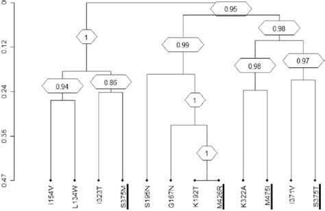 Dendrogram Obtained From Average Linkage Hierarchical Agglomerative