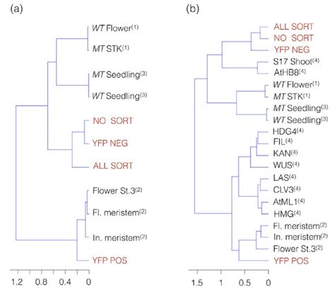 The Transcriptomic Signature Of The Shp2 Expressing Domain Is More