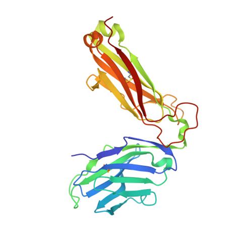 RCSB PDB - 6CQN: Crystal structure of F5 TCR -DR11-RQ13 peptide complex 